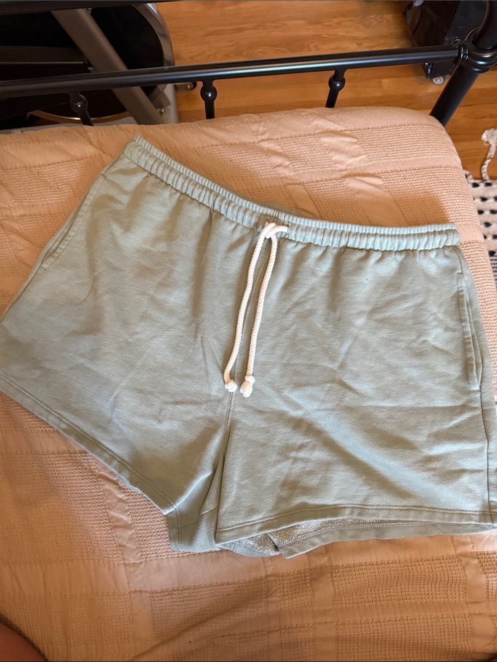 American Eagle Sage Green Fleece Lined Shorts